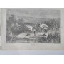 LA CHASSE ILLUSTREE, 27 Fevrier 1869